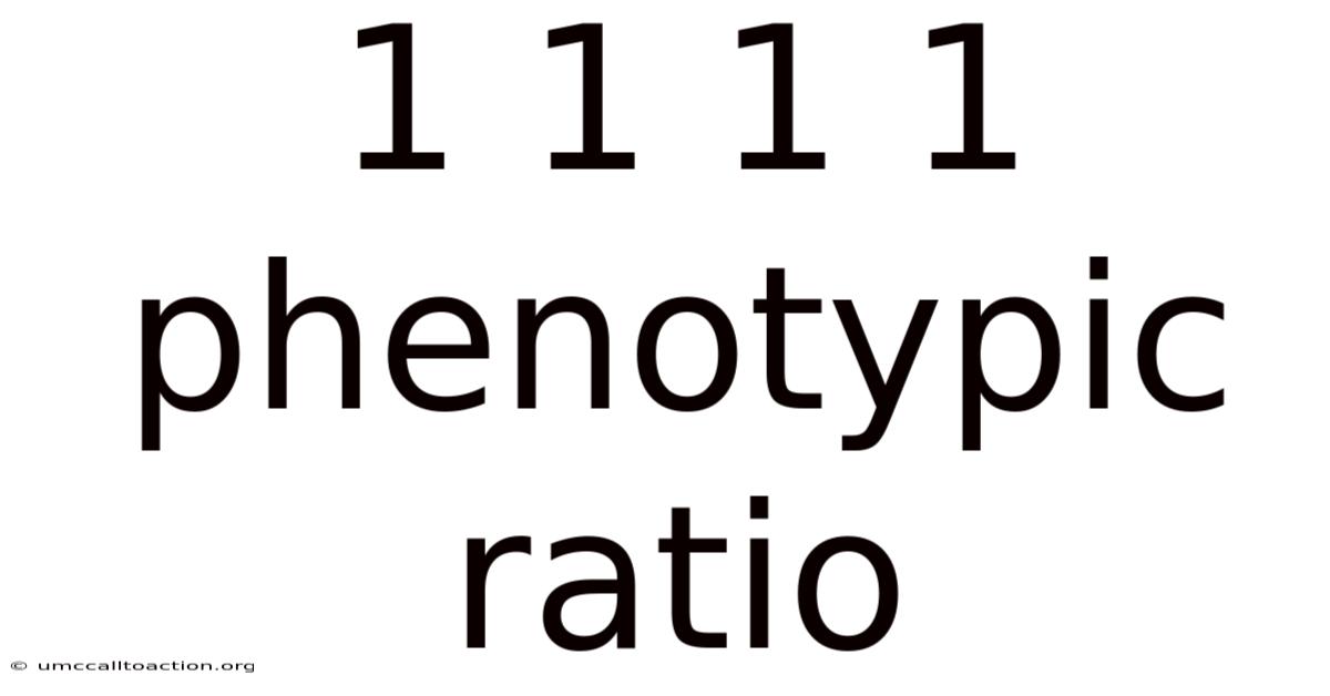 1 1 1 1 Phenotypic Ratio