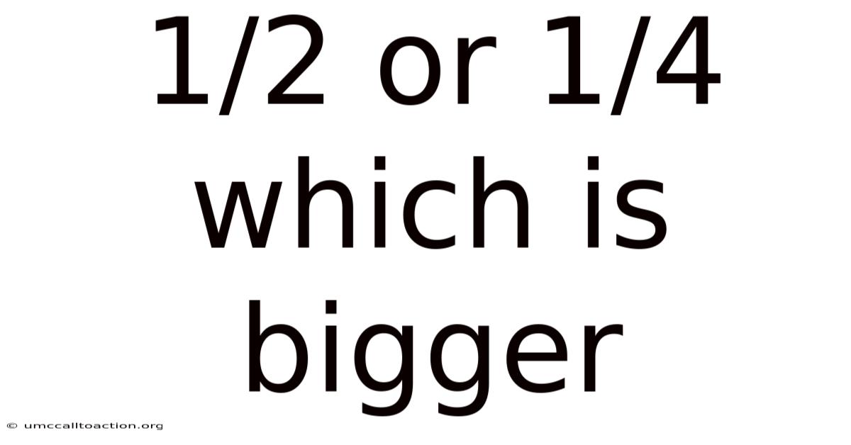 1/2 Or 1/4 Which Is Bigger