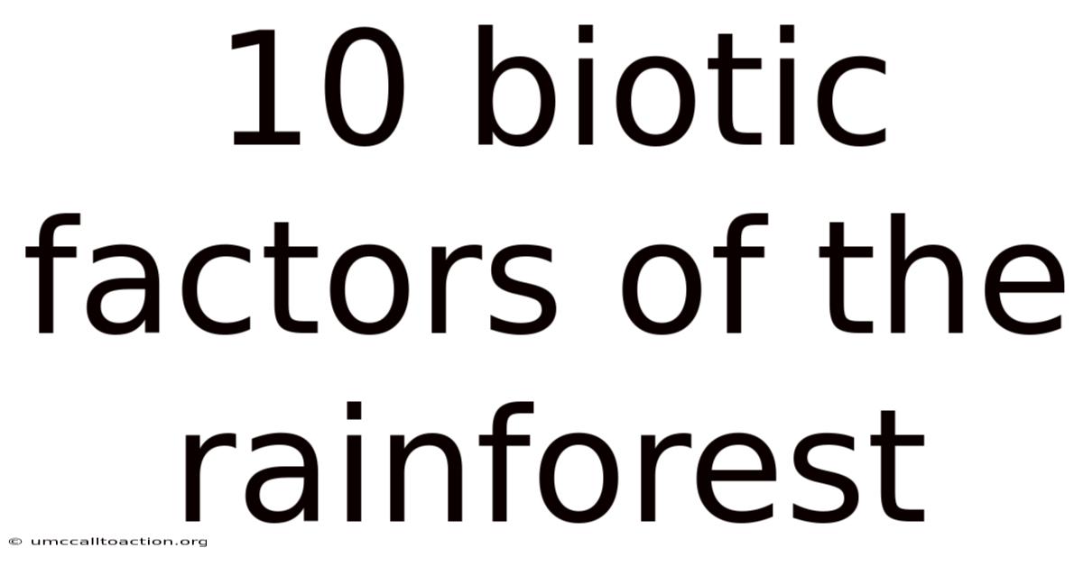 10 Biotic Factors Of The Rainforest