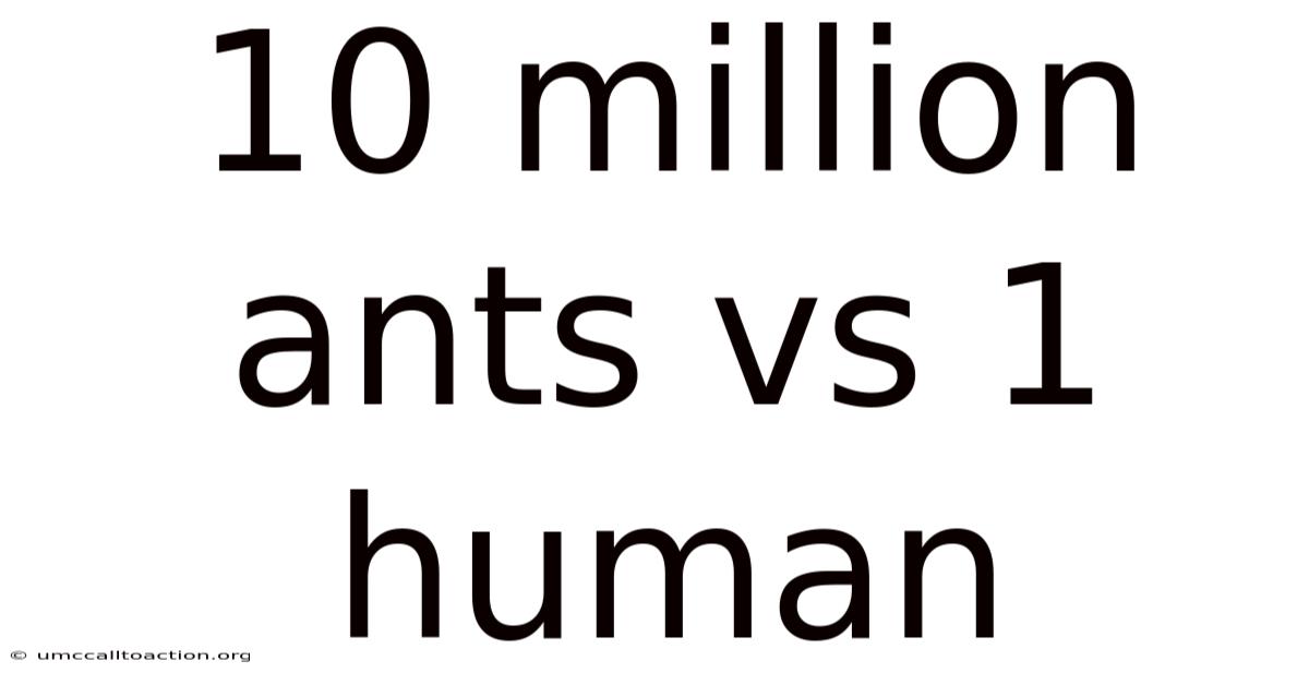10 Million Ants Vs 1 Human