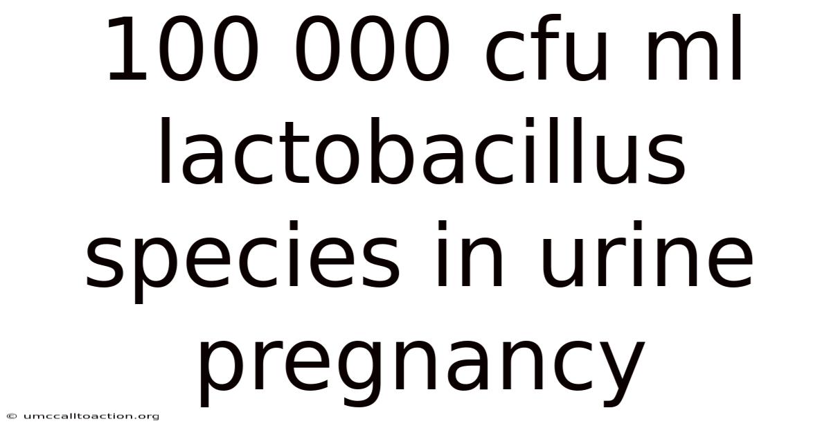 100 000 Cfu Ml Lactobacillus Species In Urine Pregnancy