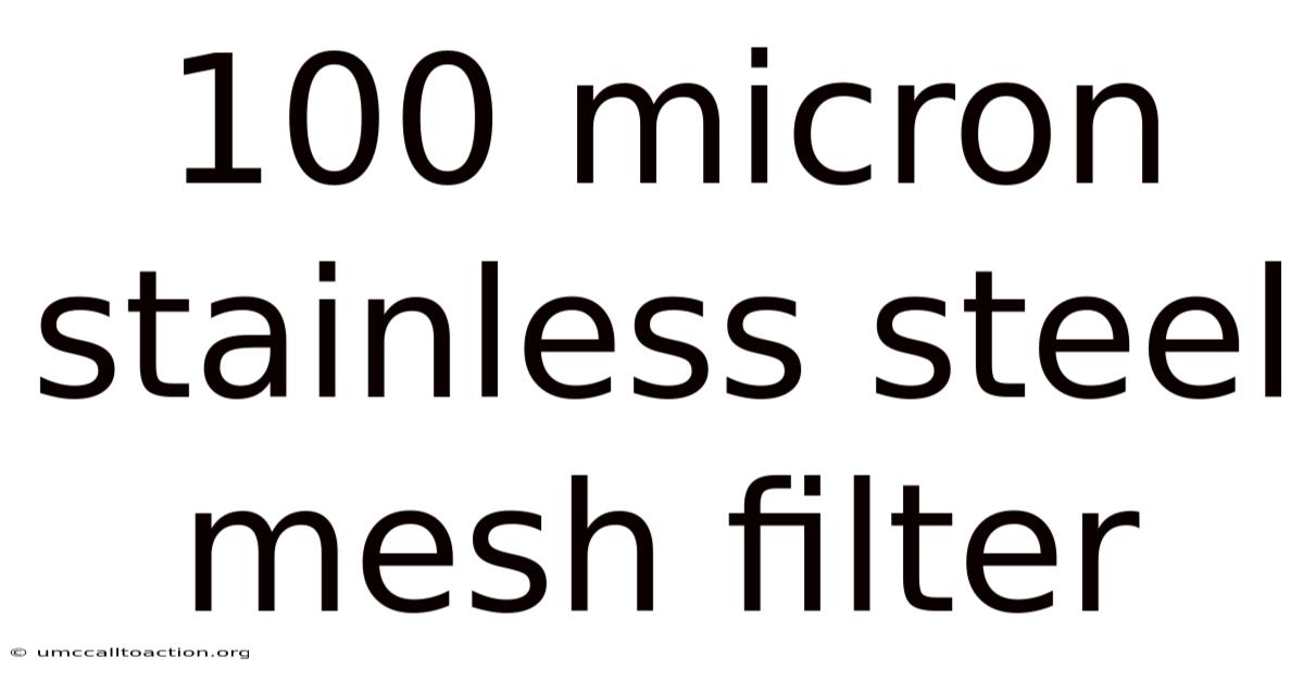 100 Micron Stainless Steel Mesh Filter