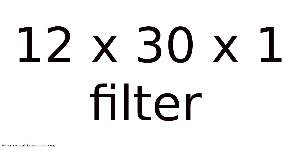 12 X 30 X 1 Filter