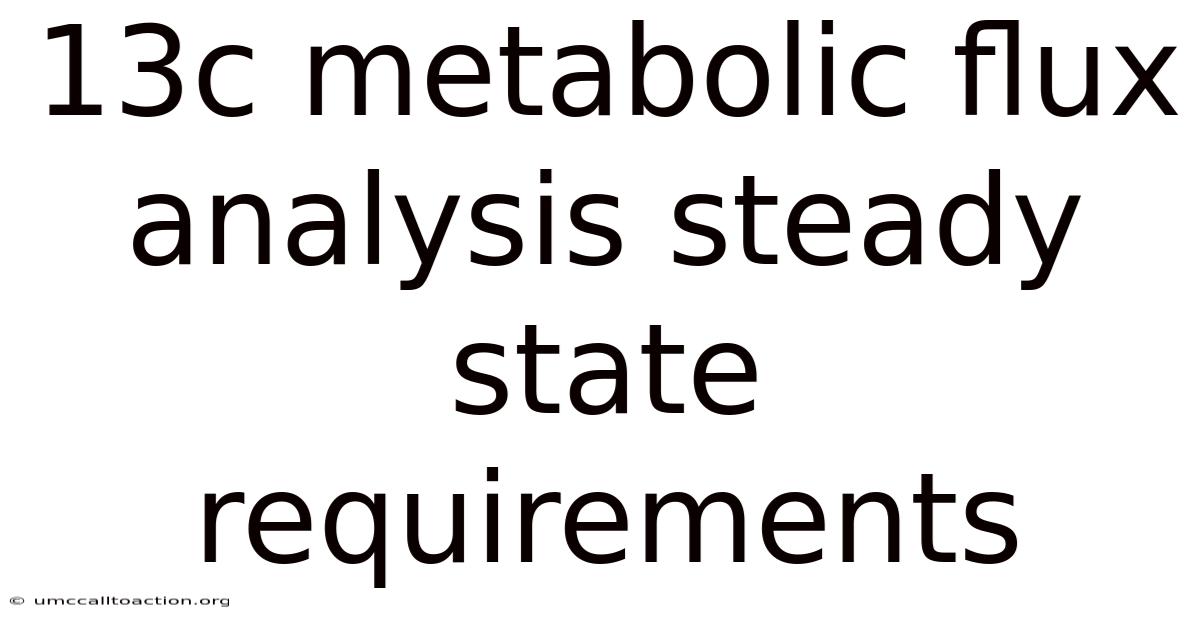 13c Metabolic Flux Analysis Steady State Requirements