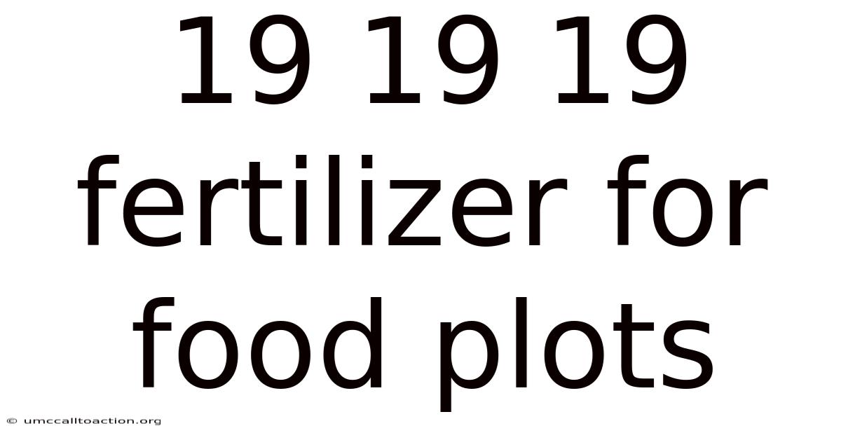 19 19 19 Fertilizer For Food Plots