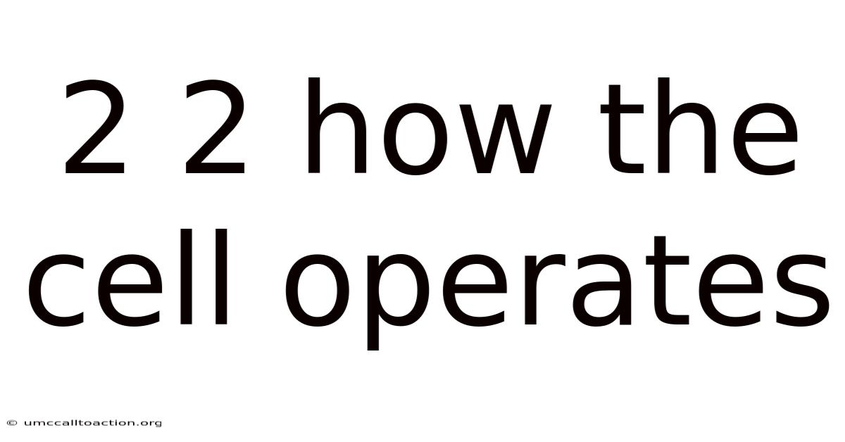 2 2 How The Cell Operates
