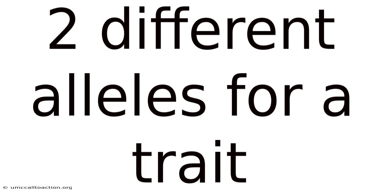 2 Different Alleles For A Trait