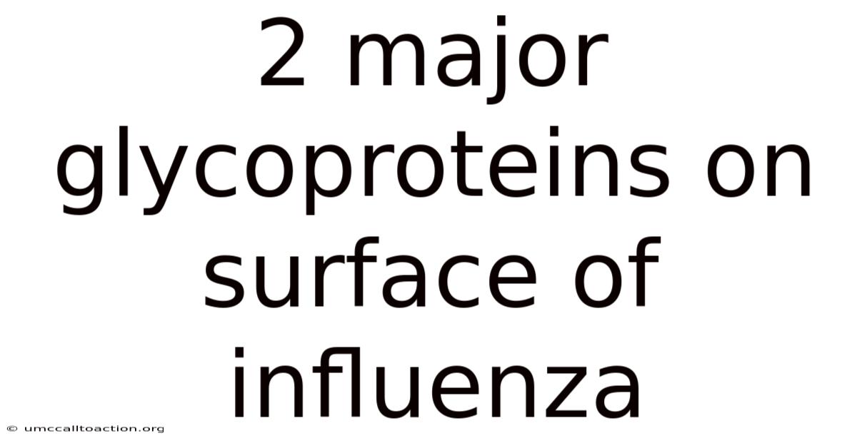 2 Major Glycoproteins On Surface Of Influenza