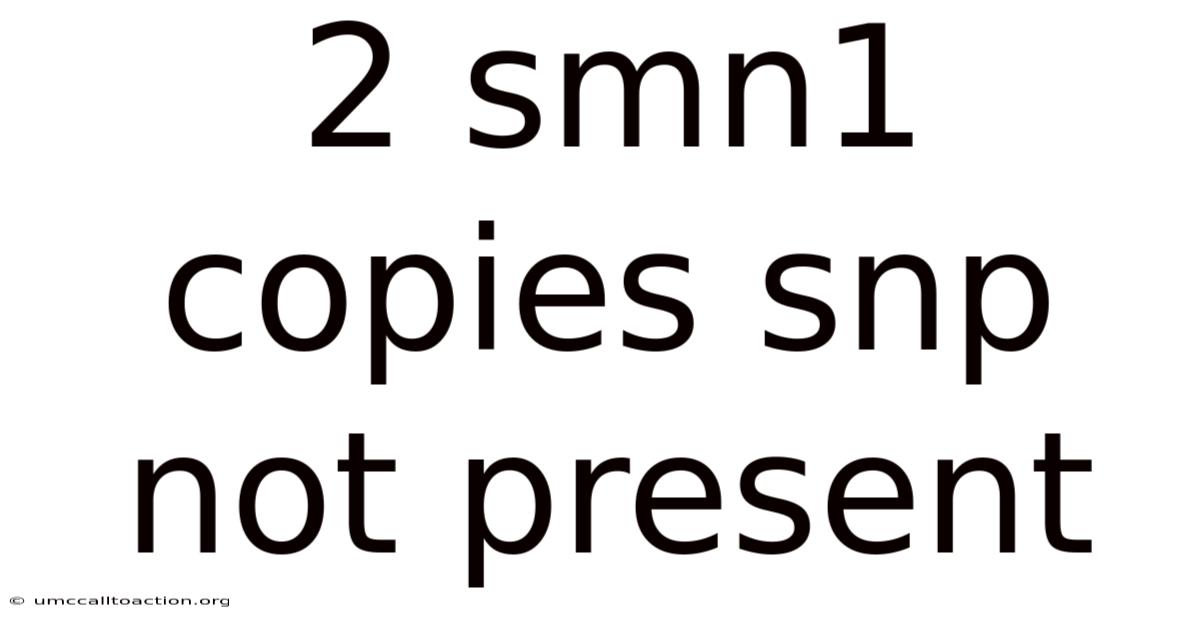 2 Smn1 Copies Snp Not Present