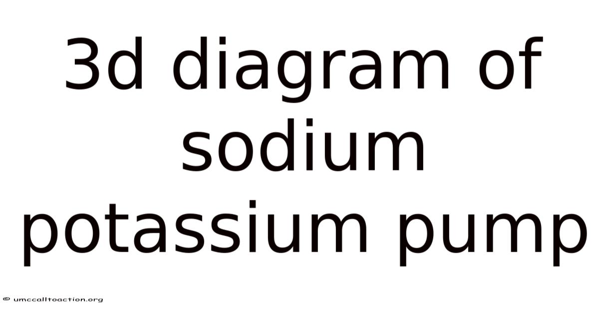 3d Diagram Of Sodium Potassium Pump