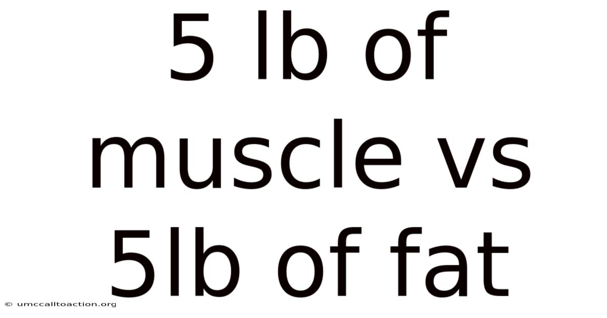 5 Lb Of Muscle Vs 5lb Of Fat