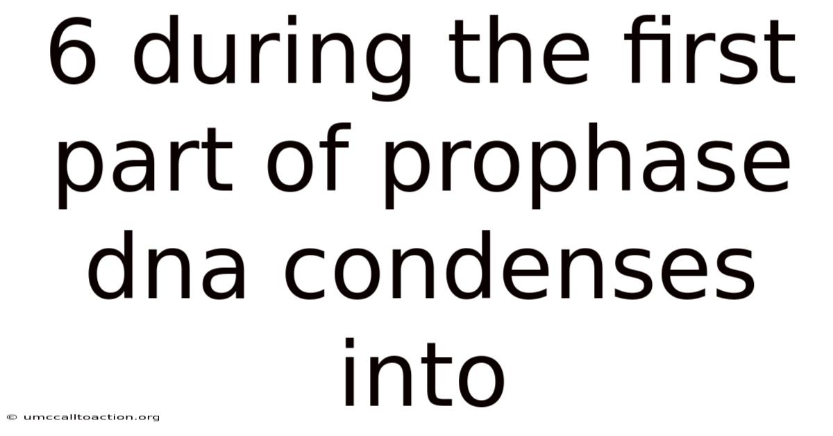 6 During The First Part Of Prophase Dna Condenses Into