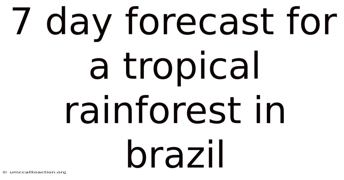 7 Day Forecast For A Tropical Rainforest In Brazil