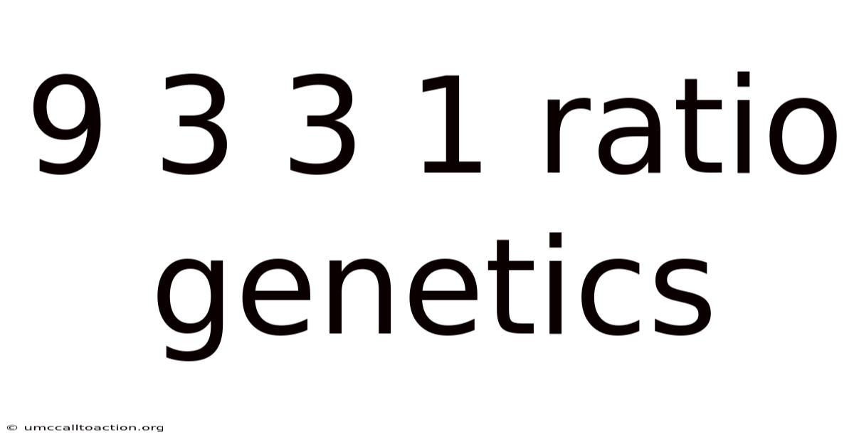 9 3 3 1 Ratio Genetics