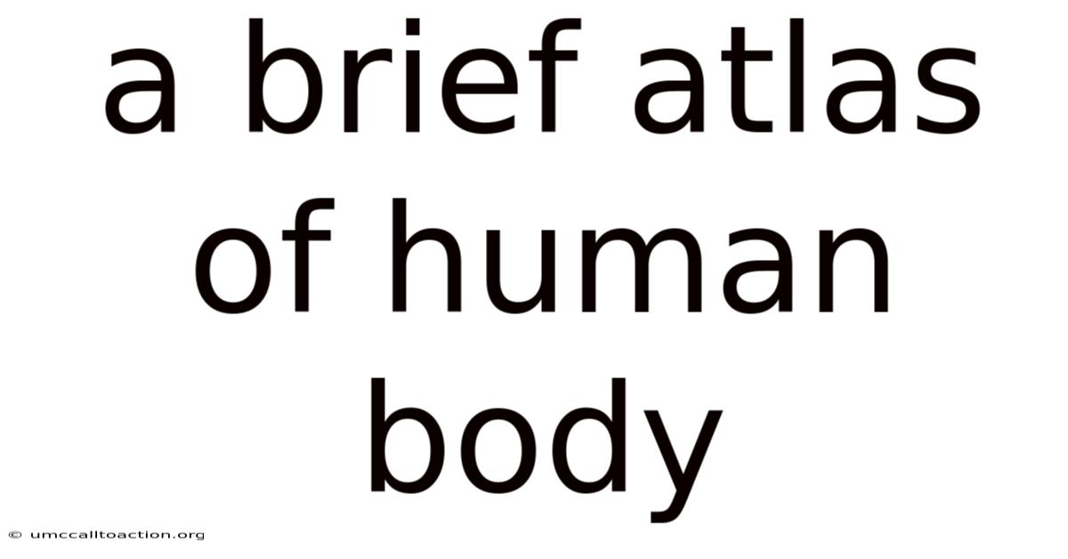 A Brief Atlas Of Human Body