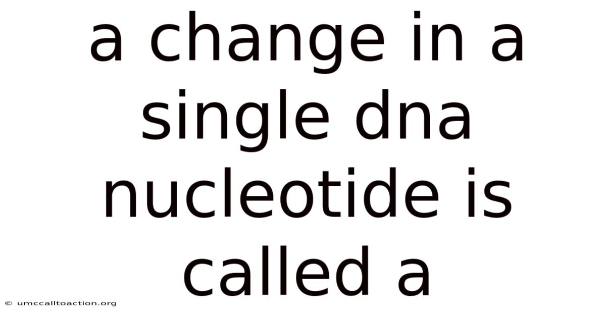 A Change In A Single Dna Nucleotide Is Called A