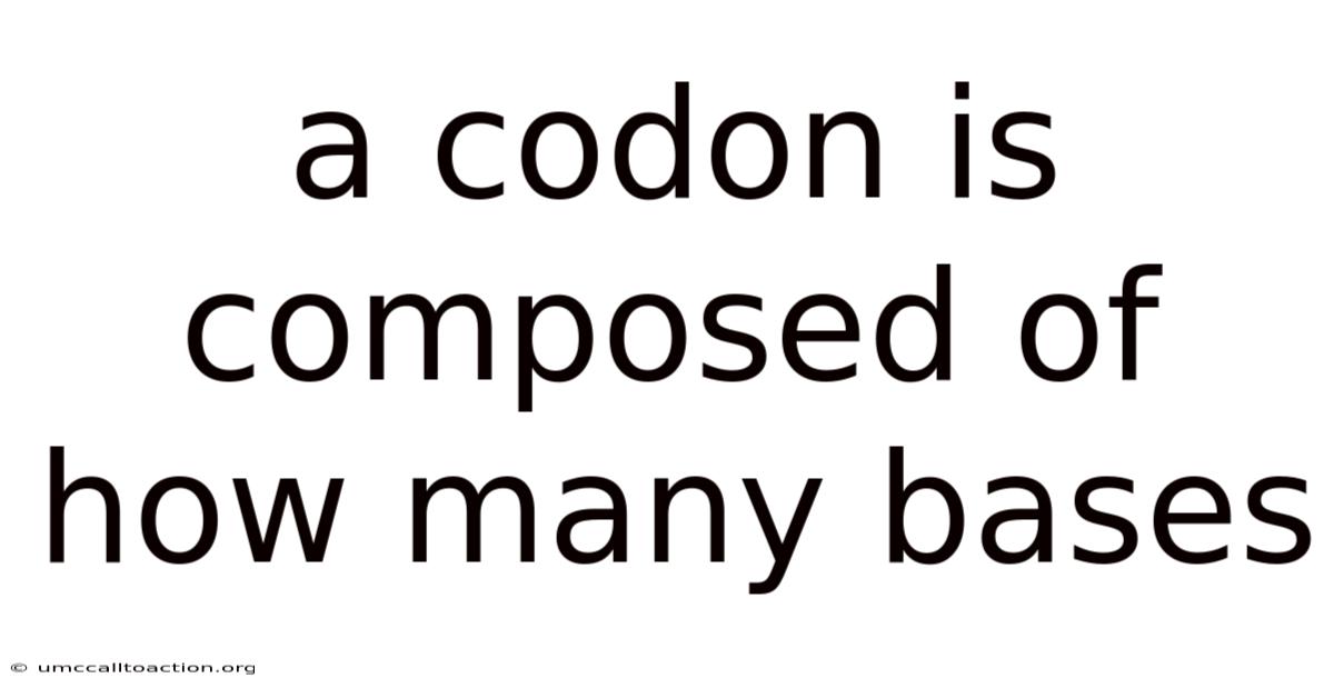 A Codon Is Composed Of How Many Bases