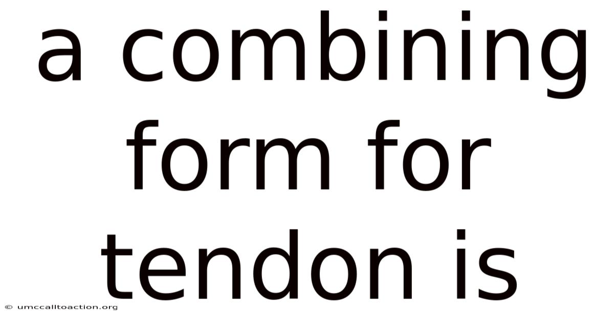 A Combining Form For Tendon Is