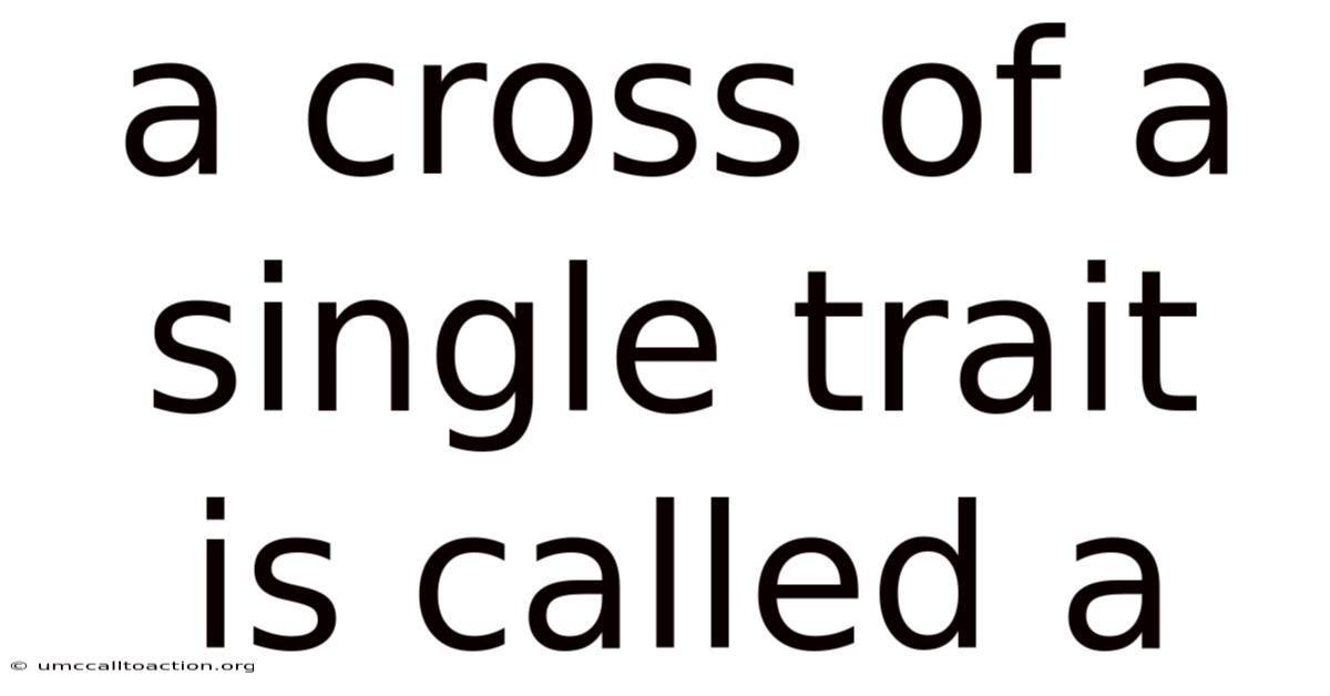 A Cross Of A Single Trait Is Called A