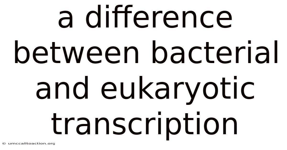 A Difference Between Bacterial And Eukaryotic Transcription