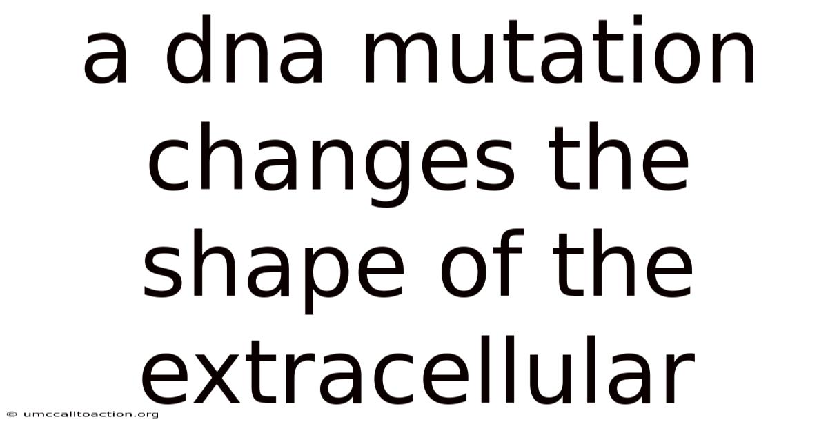 A Dna Mutation Changes The Shape Of The Extracellular