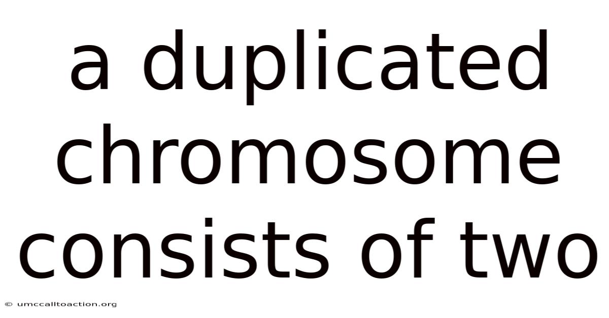 A Duplicated Chromosome Consists Of Two