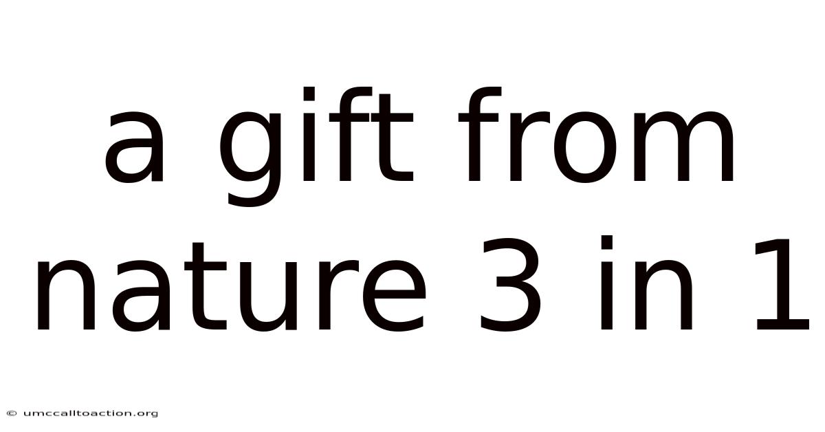 A Gift From Nature 3 In 1