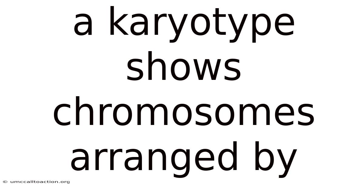 A Karyotype Shows Chromosomes Arranged By
