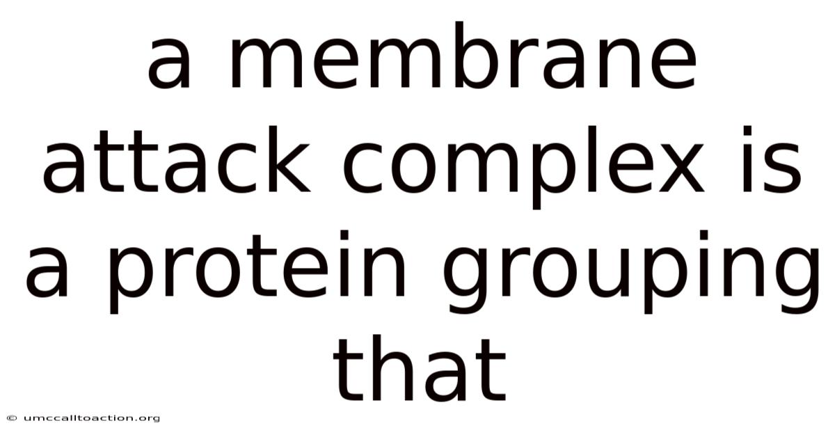 A Membrane Attack Complex Is A Protein Grouping That