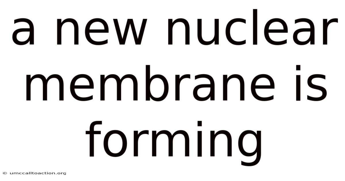 A New Nuclear Membrane Is Forming