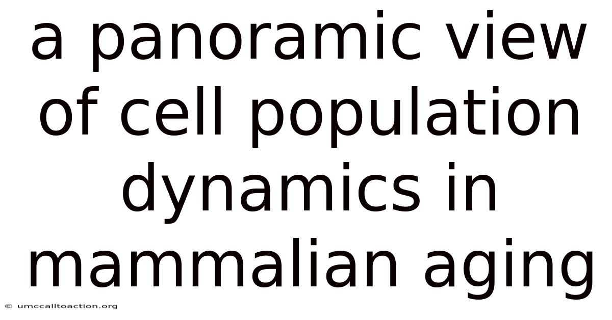 A Panoramic View Of Cell Population Dynamics In Mammalian Aging