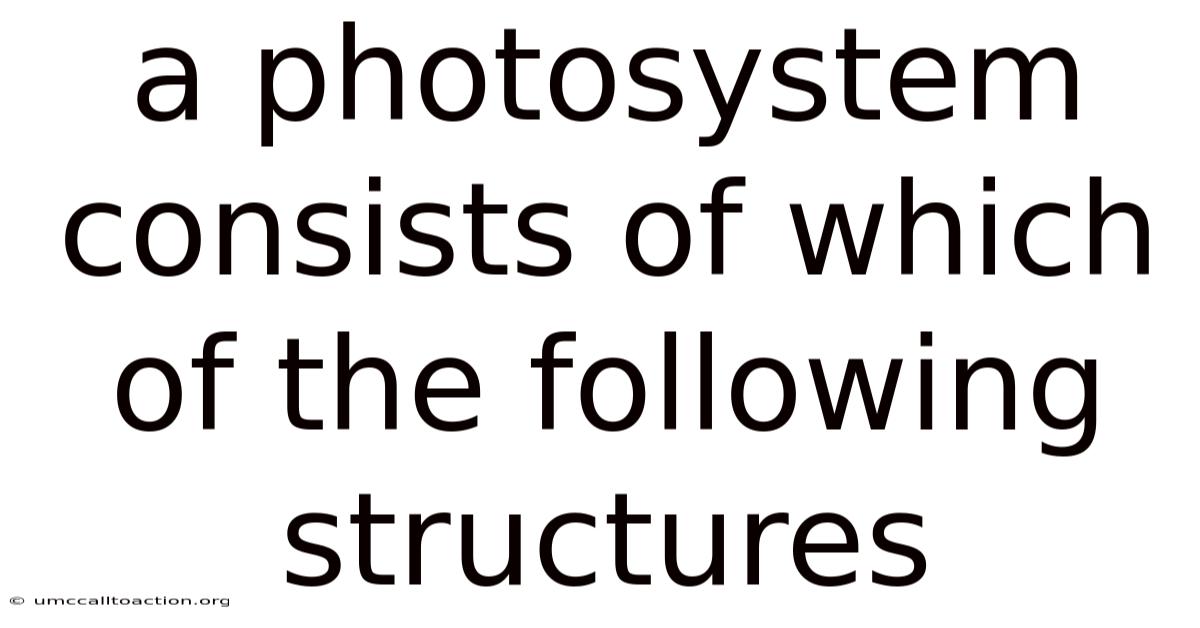 A Photosystem Consists Of Which Of The Following Structures