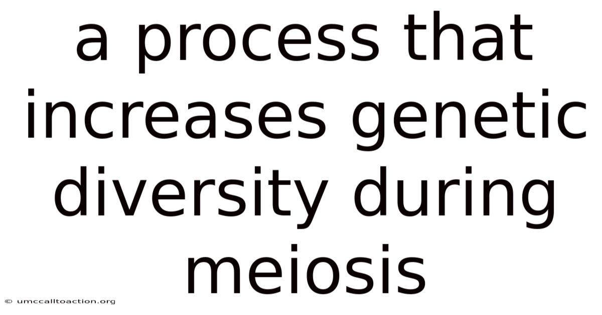 A Process That Increases Genetic Diversity During Meiosis