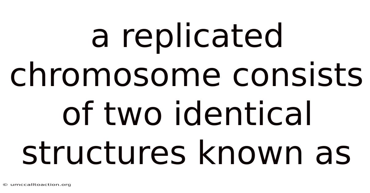 A Replicated Chromosome Consists Of Two Identical Structures Known As