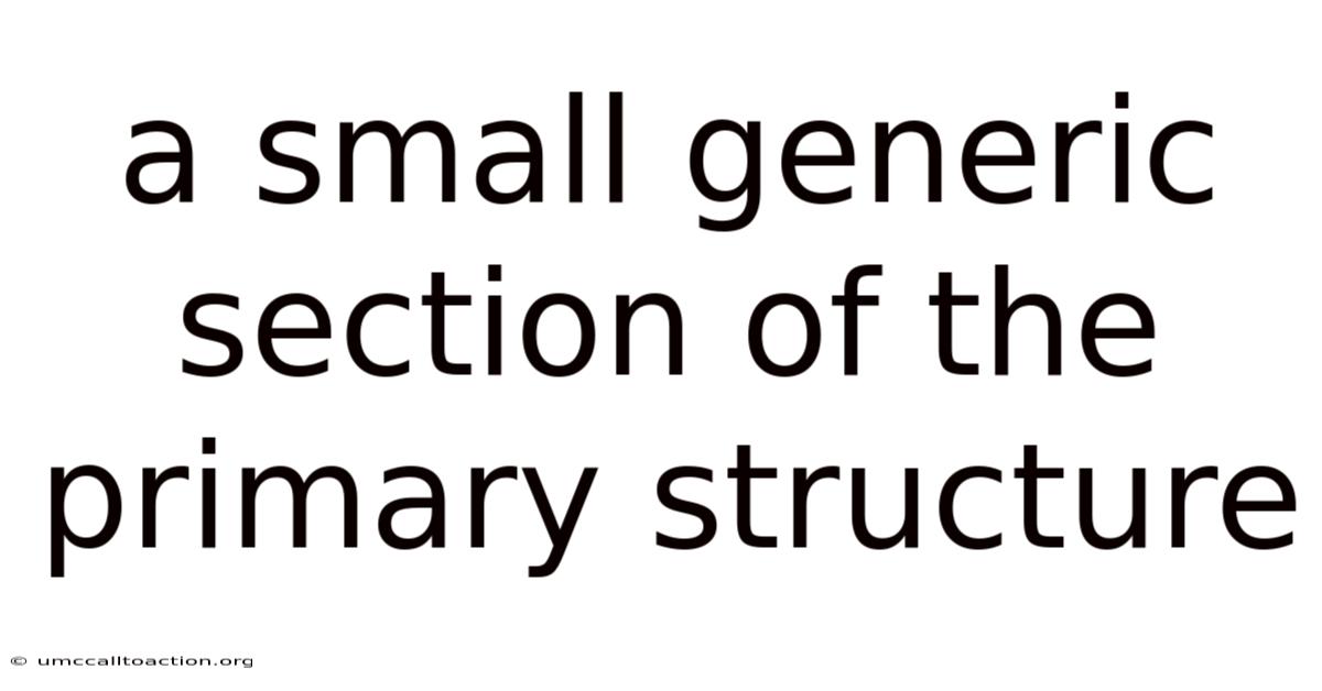 A Small Generic Section Of The Primary Structure