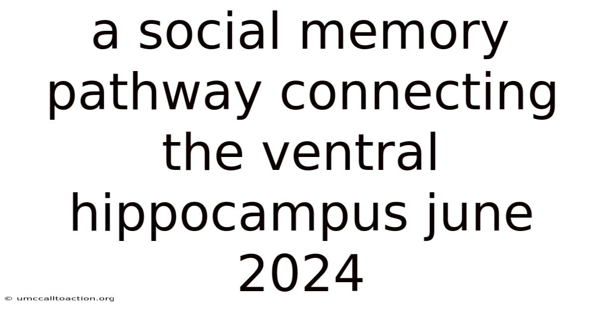 A Social Memory Pathway Connecting The Ventral Hippocampus June 2024