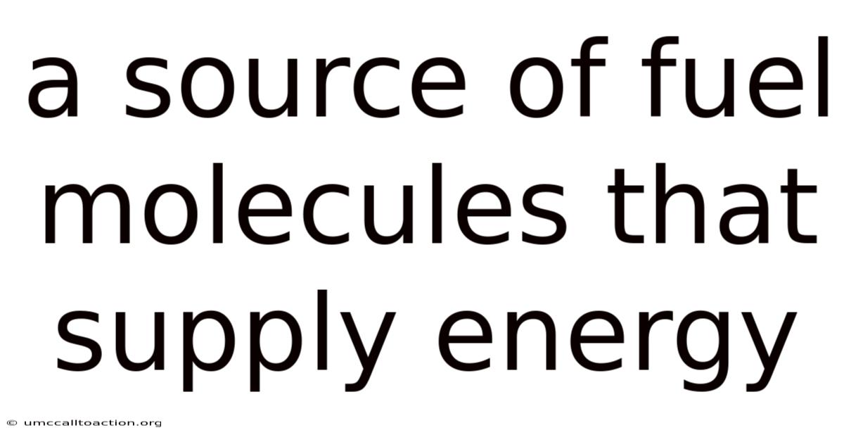 A Source Of Fuel Molecules That Supply Energy