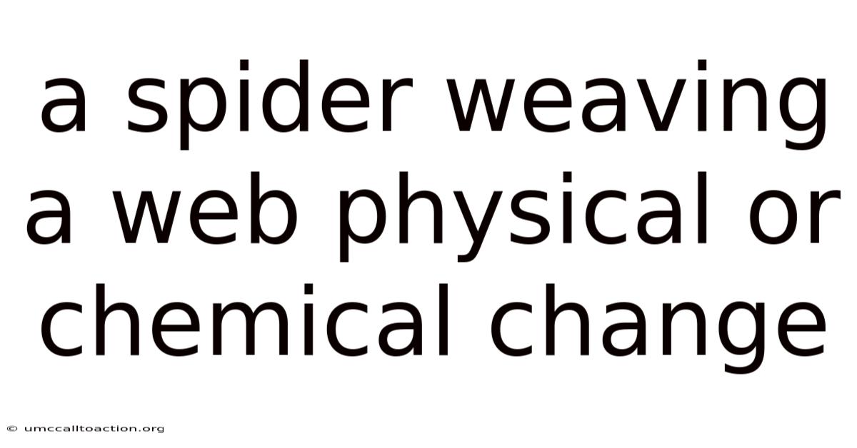 A Spider Weaving A Web Physical Or Chemical Change