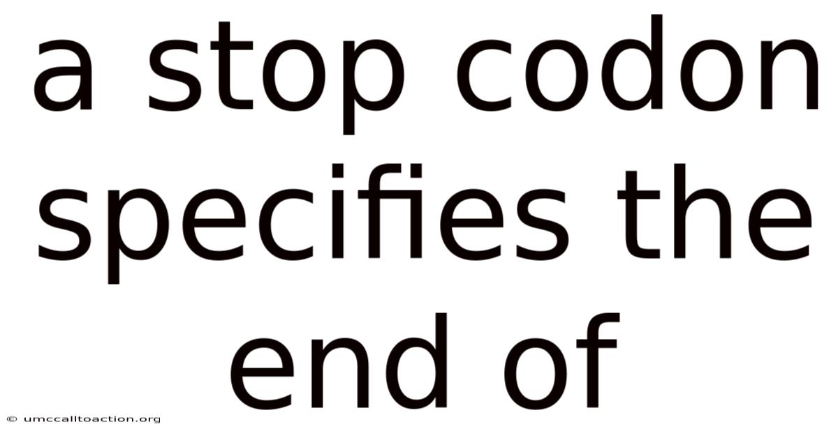 A Stop Codon Specifies The End Of