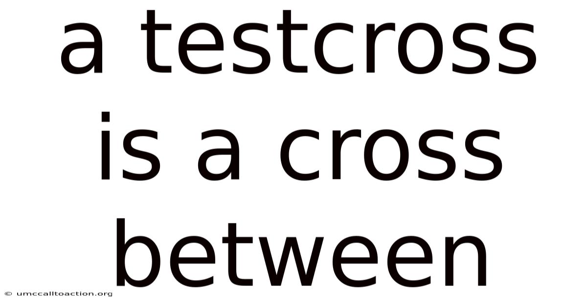 A Testcross Is A Cross Between