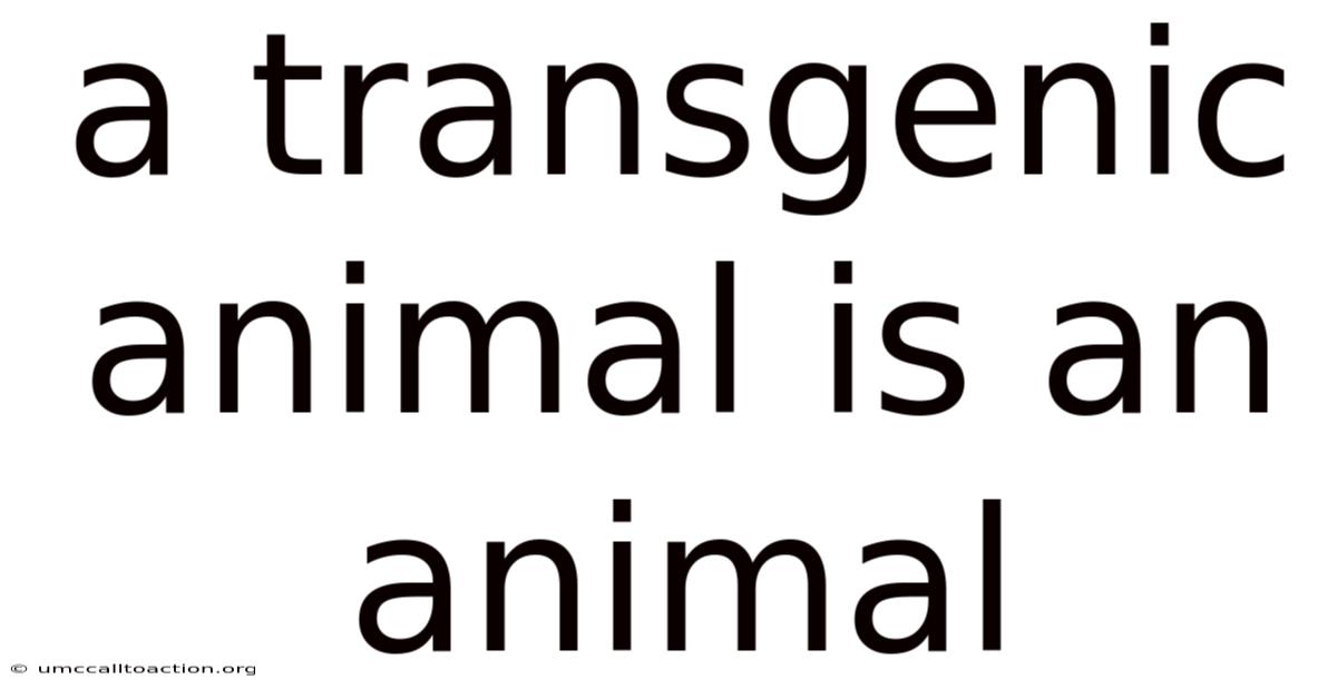 A Transgenic Animal Is An Animal