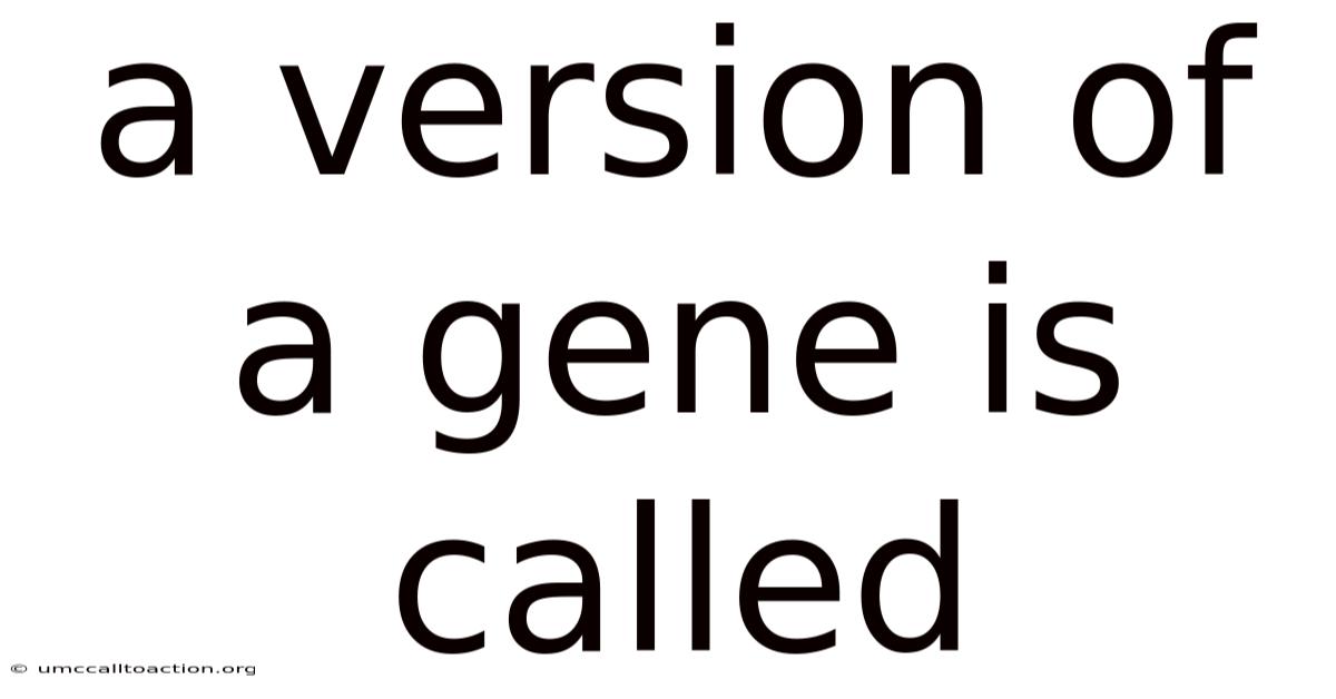 A Version Of A Gene Is Called