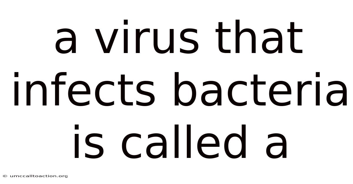A Virus That Infects Bacteria Is Called A