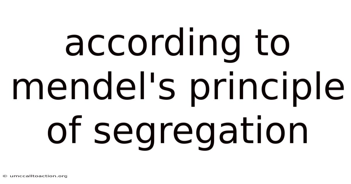 According To Mendel's Principle Of Segregation