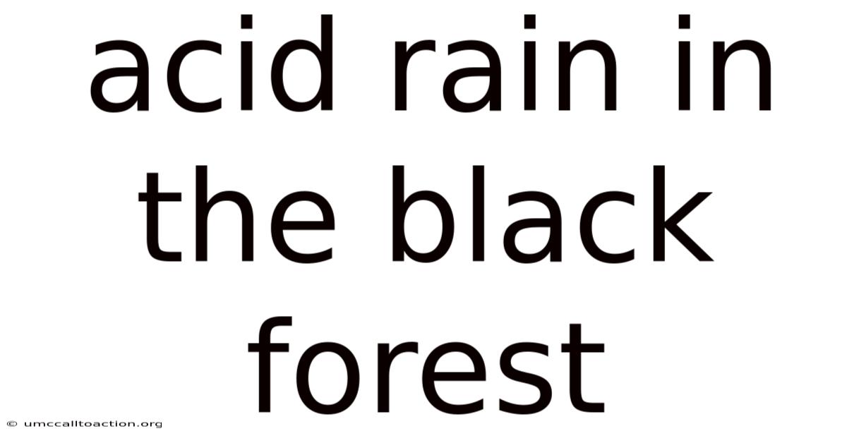 Acid Rain In The Black Forest