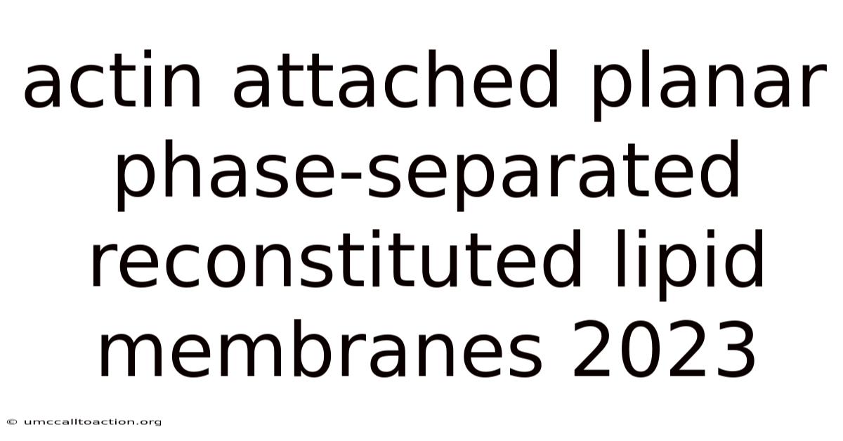 Actin Attached Planar Phase-separated Reconstituted Lipid Membranes 2023