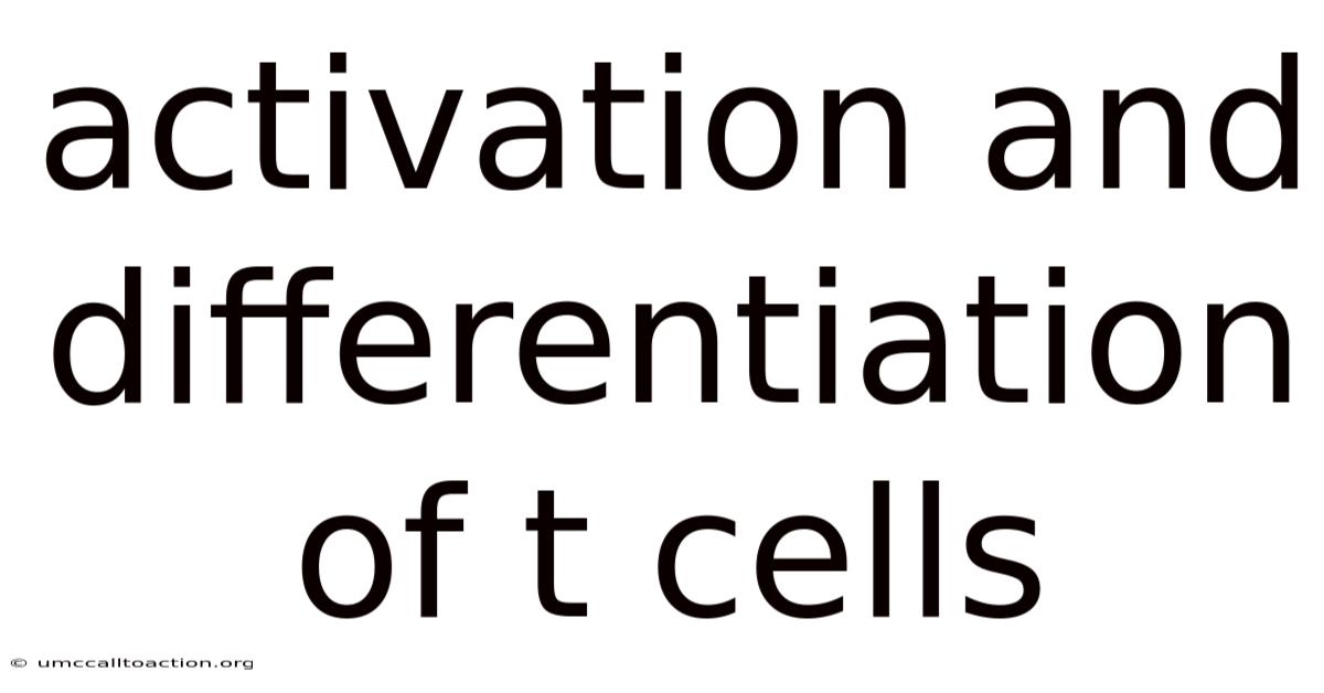 Activation And Differentiation Of T Cells
