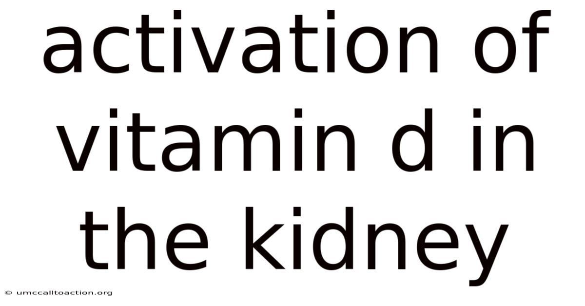 Activation Of Vitamin D In The Kidney