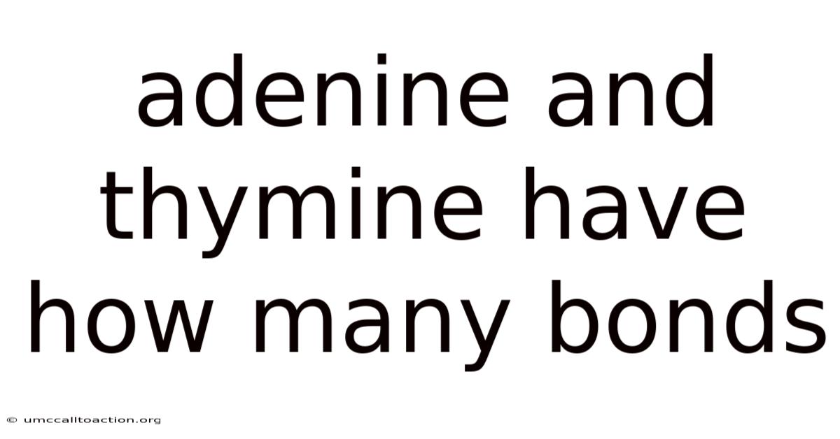 Adenine And Thymine Have How Many Bonds