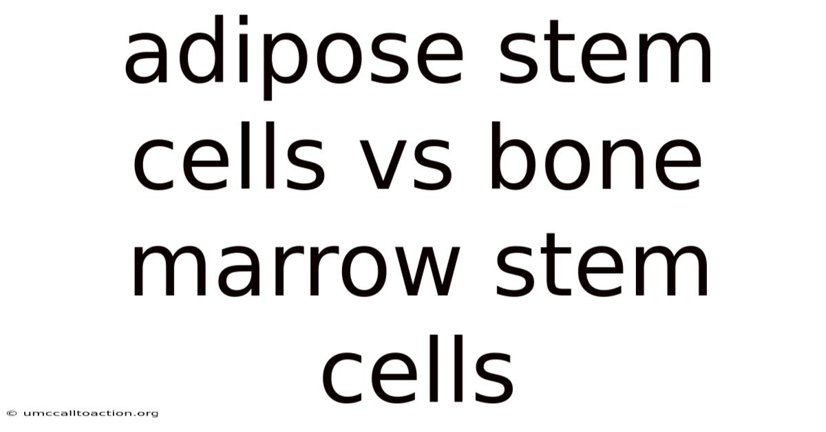 Adipose Stem Cells Vs Bone Marrow Stem Cells